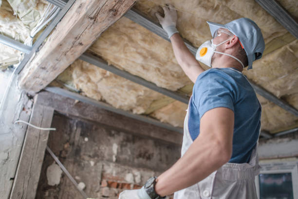 Best Eco-Friendly Insulation in Dexter, MO