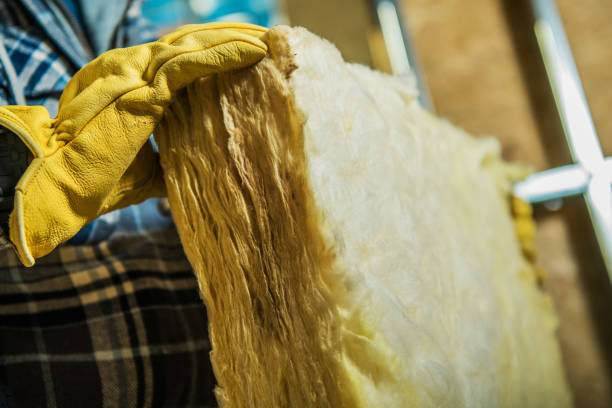Best Eco-Friendly Insulation in Dexter, MO
