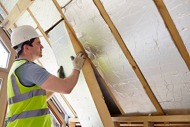 Best Cellulose Insulation in Dexter, MO
